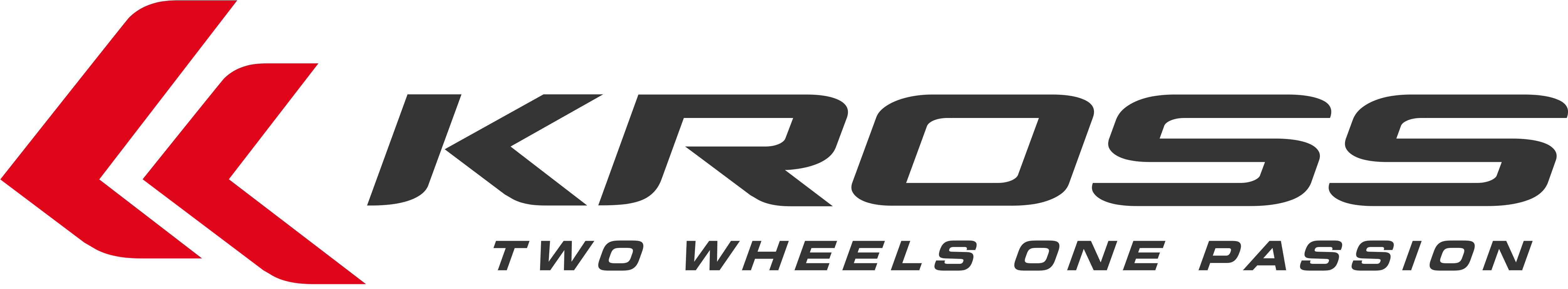 Vtt Kross Hexagon 5.0 29" Semi-rigide 4 Kross